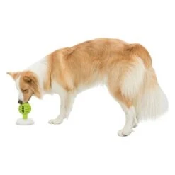 Trixie Licking Ball Pelota Rellenable Para Perros 19 Trixie Licking Ball Pelota Rellenable Para Perros -Trixie Tienda De Ventas 209078 trixie licknsnack ball hs 09 6