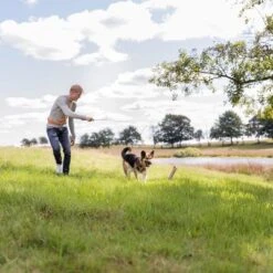 Trixie Caña Estimulante Juguete De Adiestramiento Para Perros 12 Trixie Caña Estimulante Juguete De Adiestramiento Para Perros -Trixie Tienda De Ventas 209093 trixie reizangel hs 06 8