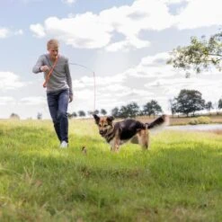 Trixie Caña Estimulante Juguete De Adiestramiento Para Perros 14 Trixie Caña Estimulante Juguete De Adiestramiento Para Perros -Trixie Tienda De Ventas 209093 trixie reizangel hs 08 7