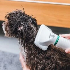 Cepillo Trixie De Aire Caliente -Trixie Tienda De Ventas 212217 trixie warmluftbuerste 300w hs 18 5