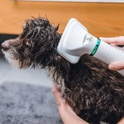 Cepillo Trixie De Aire Caliente -Trixie Tienda De Ventas 212217 trixie warmluftbuerste 300w hs 19 8