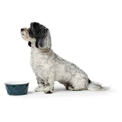 Comedero De Cerámica HUNTER Eiby Azul 3 Comedero De Cerámica HUNTER Eiby Azul - Imagen 3