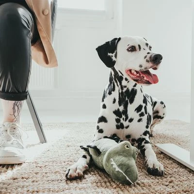 Hunter Tough Toys Cocodrilo De Juguete Para Perros 2 Hunter Tough Toys Cocodrilo De Juguete Para Perros - Imagen 2