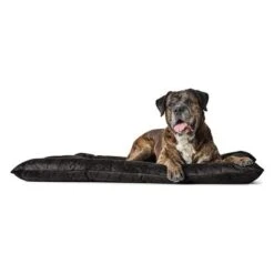 Cama Hunter Bologna Negra Para Perros 11 Cama Hunter Bologna Negra Para Perros -Trixie Tienda De Ventas 214699 214700 hunter hundebett bologna schwarz hs 04 5
