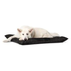Cama Hunter Bologna Negra Para Perros 12 Cama Hunter Bologna Negra Para Perros -Trixie Tienda De Ventas 214699 214700 hunter hundebett bologna schwarz hs 06 1