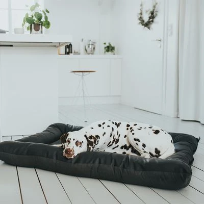 Cama Hunter Bologna Negra Para Perros 2 Cama Hunter Bologna Negra Para Perros - Imagen 2