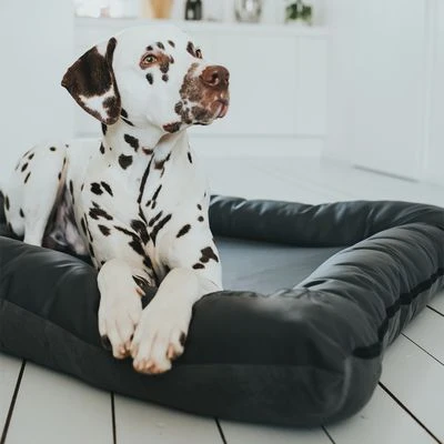 Cama Hunter Bologna Negra Para Perros 9 Cama Hunter Bologna Negra Para Perros - Imagen 9