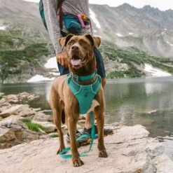 Arnés Para Perros Ruffwear Front Range, Aurora Teal -Trixie Tienda De Ventas 215896 215897 215898 ruffwear frontrange hundegeschirr aurorateal hs 12 5