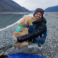 Arnés Para Perros Ruffwear Front Range, Aurora Teal -Trixie Tienda De Ventas 215896 215897 215898 ruffwear frontrange hundegeschirr aurorateal hs 16 2