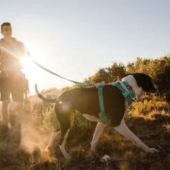 Arnés Para Perros Ruffwear Front Range, Aurora Teal -Trixie Tienda De Ventas 215896 215897 215898 ruffwear frontrange hundegeschirr aurorateal hs 19 4