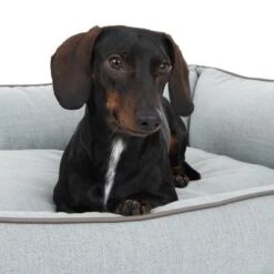 Cama Skara Modern Living Para Perros 25 Cama Skara Modern Living Para Perros -Trixie Tienda De Ventas 218996 hundebett skara fg 8751 2