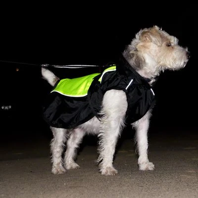 Chubasquero Para Perros Illume Nite Neon 5 Chubasquero Para Perros Illume Nite Neon - Imagen 5