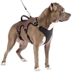 Arnés Ferplast Ergotrekking Marrón -Trixie Tienda De Ventas 224505 224506 224507 ferplast ergotrekking geschirr braun hs 14 0