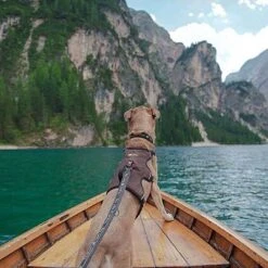 Arnés Ferplast Ergotrekking Marrón -Trixie Tienda De Ventas 224505 224506 224507 ferplast ergotrekking geschirr braun hs 18 4