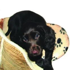 Almohadilla SnuggleSafe 13 Almohadilla SnuggleSafe -Trixie Tienda De Ventas 22802 snugglesafe heizkissen f r haustiere hs dog 1