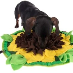 Alfombra Olfativa Sunnyflower Para Perros Y Gatos -Trixie Tienda De Ventas 229108 sunnyflower fg 0639 1
