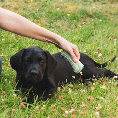 Pet Teezer Cepillo Para Cachorros 3 Pet Teezer Cepillo Para Cachorros - Imagen 3