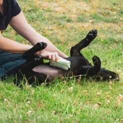 Pet Teezer Cepillo Para Cachorros 18 Pet Teezer Cepillo Para Cachorros -Trixie Tienda De Ventas 230724 pet teezer welpenbuerste hs 18 2