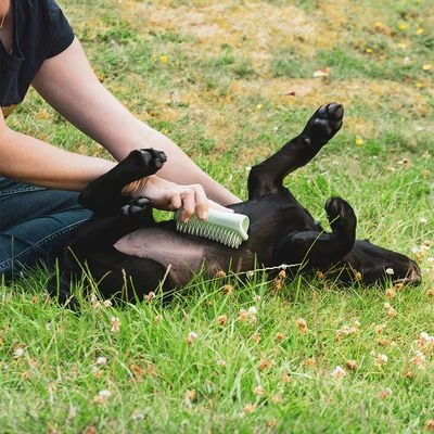 Pet Teezer Cepillo Para Cachorros 6 Pet Teezer Cepillo Para Cachorros - Imagen 6