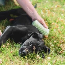 Pet Teezer Cepillo Para Cachorros 19 Pet Teezer Cepillo Para Cachorros -Trixie Tienda De Ventas 230724 pet teezer welpenbuerste hs 19 6