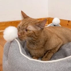 Cama Crown Para Mascotas -Trixie Tienda De Ventas 233898 crown mit katze fg 8999 6