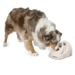 Petmate Fresh Flow Deluxe Bebedero Para Gatos -Trixie Tienda De Ventas 23406 petmate fresh flow deluxe creme hs 02 9