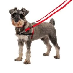 Correa Halti Para El Adiestramiento De Perros 14 Correa Halti Para El Adiestramiento De Perros -Trixie Tienda De Ventas 235202 coa halti trainingsleine rot hs1 0