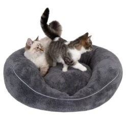 Cama Ortopédica Atlanta Modern Living Para Mascotas 33 Cama Ortopédica Atlanta Modern Living Para Mascotas -Trixie Tienda De Ventas 235396 und katze fg 9748 0