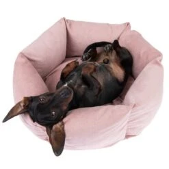 Cama Manila Para Mascotas -Trixie Tienda De Ventas 235399 hundebett manila fg 0288 2