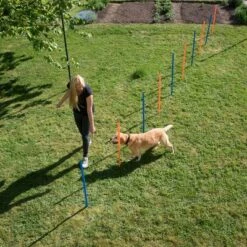 Slalom Agility Fun & Sport -Trixie Tienda De Ventas 23798 agility fun sport slalom set fg 10 8