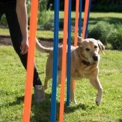 Slalom Agility Fun & Sport -Trixie Tienda De Ventas 23798 agility fun sport slalom set fg 12 9