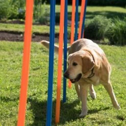 Slalom Agility Fun & Sport -Trixie Tienda De Ventas 23798 agility fun sport slalom set fg 13 1