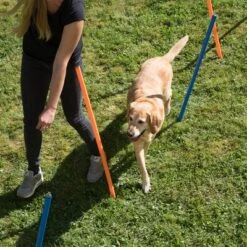 Slalom Agility Fun & Sport -Trixie Tienda De Ventas 23798 agility fun sport slalom set fg 25 7