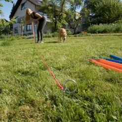 Slalom Agility Fun & Sport -Trixie Tienda De Ventas 23798 agility fun sport slalom set fg 4 3