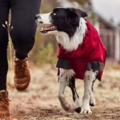 Abrigo Invernal Bare Late Harvest Hurtta Para Perros 15 Abrigo Invernal Bare Late Harvest Hurtta Para Perros -Trixie Tienda De Ventas 247996 247997 247998 247999 248000 248096 248097 hurtta bare winterjacke late harvest hs 06 3