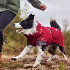 Abrigo Invernal Bare Late Harvest Hurtta Para Perros 20 Abrigo Invernal Bare Late Harvest Hurtta Para Perros -Trixie Tienda De Ventas 247996 247997 247998 247999 248000 248096 248097 hurtta bare winterjacke late harvest hs 07 7