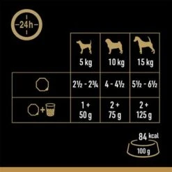Cesar En Tarrinas 24 X 150 G - Megapack 15 Cesar En Tarrinas 24 X 150 G - Megapack -Trixie Tienda De Ventas 251196 mars megapack cesar scjale landraagout 24x150g hs 05 5