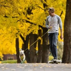 Correa RUFFWEAR Hi & Light Para Perros -Trixie Tienda De Ventas 262501 accapi ruffwear hi light leash lichengreen hs 13 5