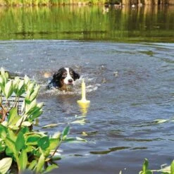 Juguete Trixie Aqua Toy MOT®-Aqua Para Perros -Trixie Tienda De Ventas 262696 trixie aquatoy mot aqua hs 03 8