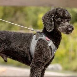 Correa De Bolsillo Curli Ultrarresistente -Trixie Tienda De Ventas 267896 267897 ultrastarke taschenleine hs 05 3