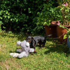 Conejo Elsie De Peluche Para Perros -Trixie Tienda De Ventas 267996 elsie mit hund fg 3335 8