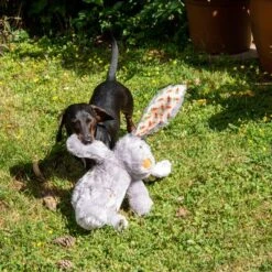 Conejo Elsie De Peluche Para Perros -Trixie Tienda De Ventas 267996 elsie mit hund fg 3339 8