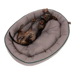 Cama Antibacteriana London Modern Living Para Perros 16 Cama Antibacteriana London Modern Living Para Perros -Trixie Tienda De Ventas 274563 hundebett london fg 2761 6