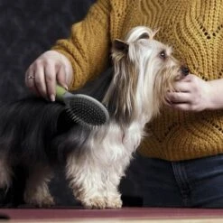 Cepillo De Doble Cara Moser Para Mascotas -Trixie Tienda De Ventas 289796 moser beidseitige fellpflegebuerste hs 02 1