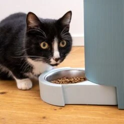 TIAKI Tolva Para Pienso Y Agua, Azul Claro Para Mascotas 23 TIAKI Tolva Para Pienso Y Agua, Azul Claro Para Mascotas -Trixie Tienda De Ventas 302496 duo napf mit katze fg 1019 0