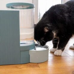 TIAKI Tolva Para Pienso Y Agua, Azul Claro Para Mascotas 39 TIAKI Tolva Para Pienso Y Agua, Azul Claro Para Mascotas -Trixie Tienda De Ventas 302496 duo napf mit katze fg 1028 7