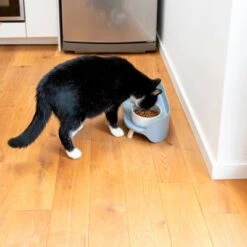 TIAKI Comedero Doble De Cerámica Para Mascotas -Trixie Tienda De Ventas 302496 tiaki keramiknapf duo 9