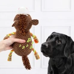 Doglove Caballo De Juguete Para Perros -Trixie Tienda De Ventas 303597 edupet doglove hundespielzeug pferd hs 03 7