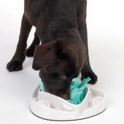 TIAKI Grass Slow Feeder Juguete De Inteligencia Para Perros -Trixie Tienda De Ventas 304297 tiaki dog grass slow feeder fg 1834 7