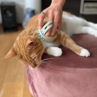 Kooa Cepillo Masajeador Para Gatos 3 Kooa Cepillo Masajeador Para Gatos - Imagen 3